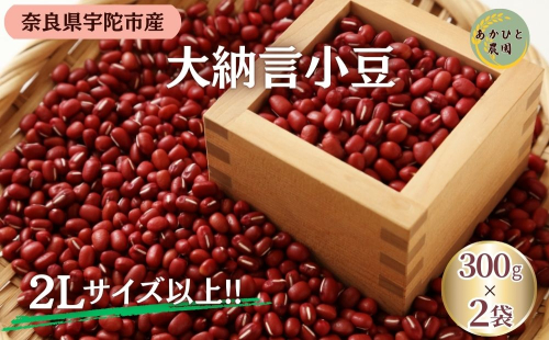 宇陀大納言小豆300g×2袋（2Lサイズ以上） ／ ふるさと納税 小豆 国産 あずき 大納言 あんこ 奈良県 宇陀市 あかひと農園 2185359 - 奈良県宇陀市
