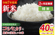【10月中旬から発送】【先行予約】【2ヶ月定期便】【令和7年産新米】阿見町産　精米　食べ比べ　（コシヒカリ　美味しいお米）　各10kg（5kg×2）【お米 米 こしひかり ごはん 食べ比べ 茨城県】 （85-69）