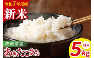 【先行予約】令和7年産 茨城県産あきたこまち　精米　5kg【お米 米 ごはん 茨城県】（85-29）