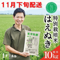 SD0202　11月下旬配送／令和7年産【精米】　特別栽培米『はえぬき』 10kg(5kg×2袋)［減農薬・減化学肥料］ MA