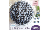 ＜2ヵ月毎定期便＞千葉県芝山町産 大粒冷凍ブルーベリー るりしずく 900g全3回【4069223】