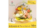 生花お任せアレンジメントL イエロー系 お祝いやお誕生日におすすめ【1636479】