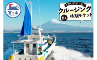 クルージング スタンダードコース 体験チケット 6人 クルーズツアー 土日のみ 年末年始受付可能 富士山の壮大な景色 雄大な自然 田子の浦港 隆真丸 完全貸し切り 一生の思い出 静岡県 富士市 [sf001-203]