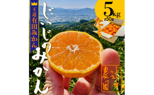 和歌山県有田みかん じぃじのみかん 約5kg 2185737 - 和歌山県有田川町