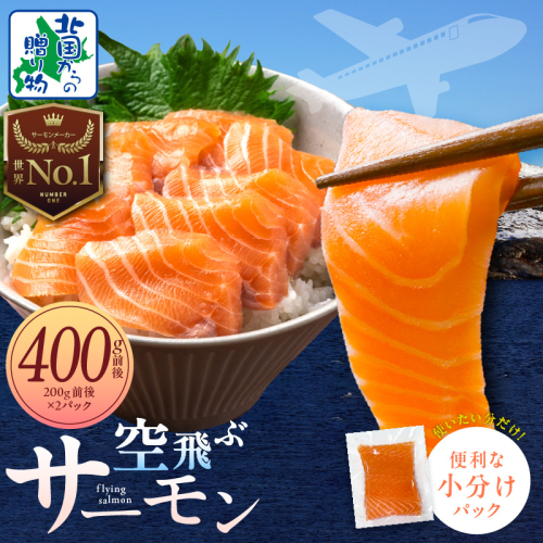 【年内発送】アトランティック サーモン 400g【フィレ エコパック 小分け 200g×2パック 訳あり サイズ不揃い 刺身 さーもん 冷凍 北国からの贈り物】 010B1647y 2185747 - 大阪府泉佐野市