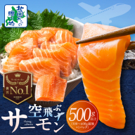 【年内発送】アトランティックサーモン 総量 500g以上【フィレ エコパック 訳あり サイズ不揃い 刺身 さーもん 冷凍 北国からの贈り物】 099H3605y
