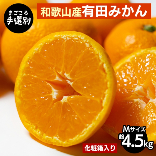 和歌山の有田みかん 化粧箱入り 4.5kg Mサイズ｜まごころ手選別 ミカン 蜜柑 温州みかん 柑橘 和歌山 ギフト 贈答 ※2025年11月上旬～2026年1月下旬頃に順次発送予定 2185840 - 和歌山県美浜町