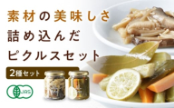 ピクルスセット 2個入り 愛媛県大洲市/iino assemble[AGAA014] ピクルス 野菜 やさい 詰め合わせ セット 加工食品 漬物 お漬物 おつけもの おすすめ 人気 お取り寄せ 送料無料 贈答 ギフト