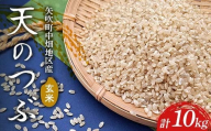 【令和7年産】矢吹町中畑地区産天のつぶ 玄米10kg（5kg×2袋） F6U-266