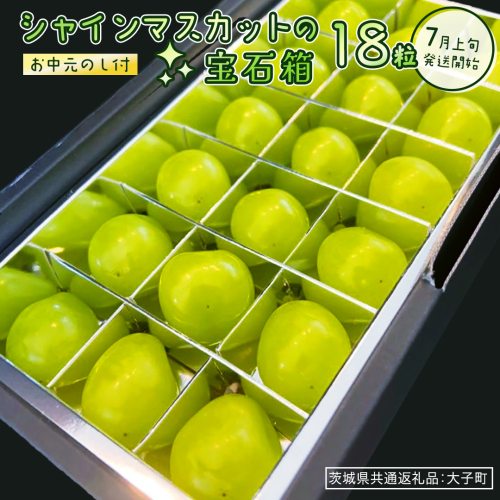 【 お中元 】『 シャインマスカット の宝石箱 (18粒) 』【2026年7月上旬発送開始】(茨城県共通返礼品：大子町)  ぶどう 葡萄 マスカット フルーツ 果物 贈答用 ギフト 贈り物 2185914 - 茨城県牛久市