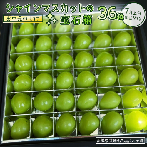 【 お中元 】『 シャインマスカット の宝石箱 (36粒) 』【2026年7月上旬発送開始】(茨城県共通返礼品：大子町) ぶどう 葡萄 マスカット フルーツ 果物 贈答用 ギフト 贈り物 2185915 - 茨城県牛久市