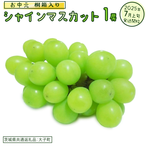 【 お中元 桐箱入り】 シャインマスカット １房 【2025年7月上旬発送開始】(茨城県共通返礼品：大子町) ぶどう 葡萄 マスカット フルーツ 果物 贈答用 ギフト 贈り物 2186054 - 茨城県牛久市