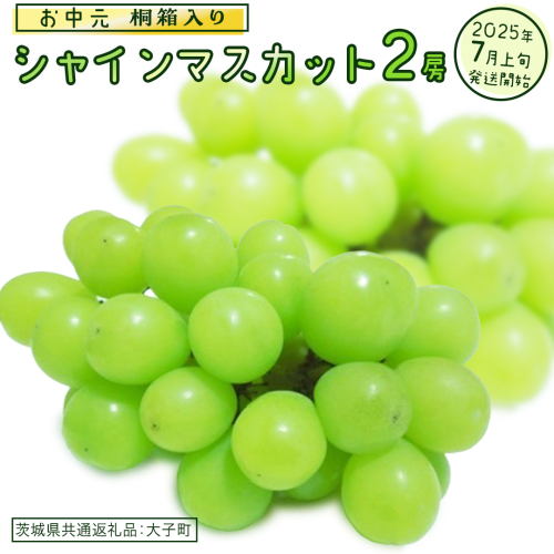 【 お中元 桐箱入り】 シャインマスカット ２房 【2025年7月上旬発送開始】(茨城県共通返礼品：大子町) ぶどう 葡萄 マスカット フルーツ 果物 贈答用 ギフト 贈り物 2186055 - 茨城県牛久市