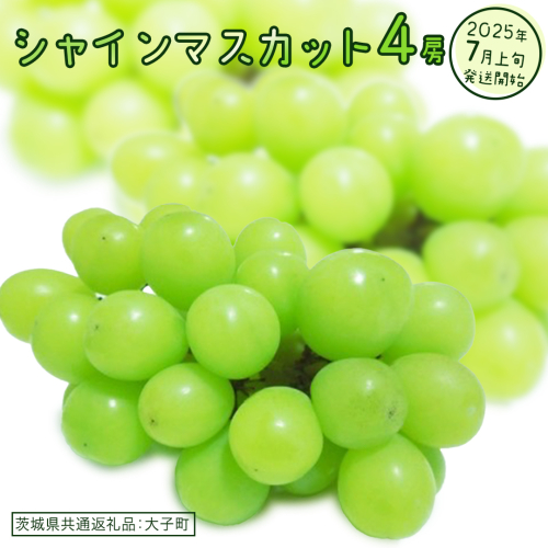 シャインマスカット ４房 【2025年7月上旬発送開始】(茨城県共通返礼品：大子町) ぶどう 葡萄 ブドウ マスカット フルーツ 果物 スイーツ 2186152 - 茨城県牛久市
