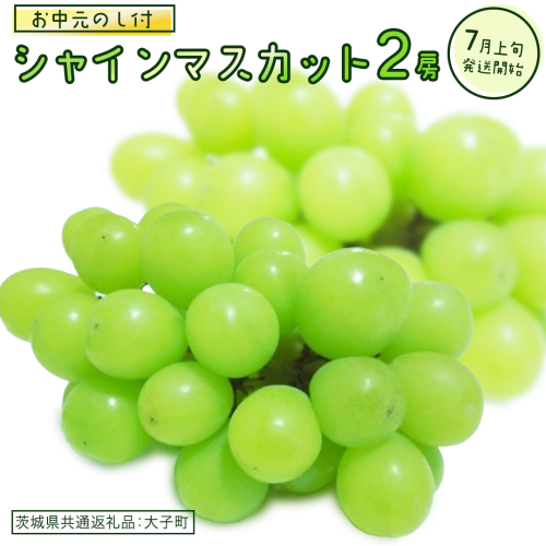 【 お中元 熨斗付き】 シャインマスカット ２房 【2026年7月上旬発送開始】(茨城県共通返礼品：大子町) ぶどう 葡萄 ブドウ マスカット フルーツ 果物 贈答用 ギフト 贈り物 2186166 - 茨城県牛久市