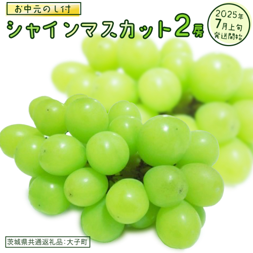 【 お中元 熨斗付き】 シャインマスカット ２房 【2025年7月上旬発送開始】(茨城県共通返礼品：大子町)  ぶどう 葡萄 ブドウ マスカット フルーツ 果物 贈答用 ギフト 贈り物 2186166 - 茨城県牛久市