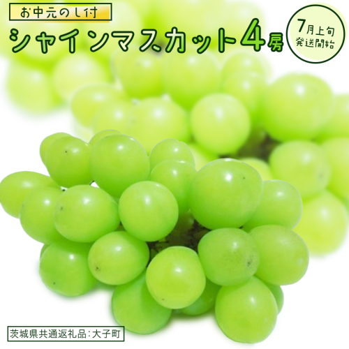 【 お中元 熨斗付き】 シャインマスカット ４房 【2026年7月上旬発送開始】(茨城県共通返礼品：大子町)  ぶどう 葡萄 ブドウ マスカット フルーツ 果物 贈答用 ギフト 贈り物 2186167 - 茨城県牛久市