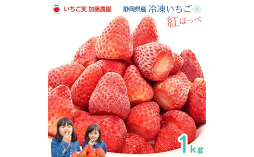 【冷凍】 静岡県産いちご 紅ほっぺ 1kg 苺 フルーツ◇ 2186168 - 静岡県静岡市