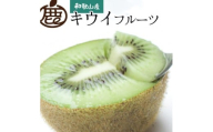 ［先行予約］厳選 キウイ1kg+250g（傷み補償分） 扁平果 ［IKE106］