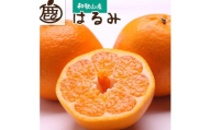 ［先行予約］厳選 はるみ1kg+250g（傷み補償分）［デコポンの姉妹品種・新食感春みかん］［光センサー選別］［IKE220］