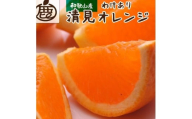 ［先行予約］家庭用 清見オレンジ1kg+250g（傷み補償分）［光センサー食頃出荷］［樹上完熟きよみオレンジ・清見タンゴール・清美］［わけあり・訳あり］［IKE142］