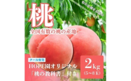 ＜2025発送＞安心のクール便発送 桃 2kg 5～8玉 ふるさと納税 もも 桃 笛吹市 国産 人気 期間限定 果物 フルーツ 旬 ギフト 贈り物 記念日 山梨県  226-002