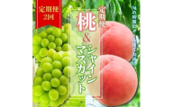 ＜2025発送＞定期便2回！旬の時期にクール便でお届け 桃とシャインマスカットの定期便 各1kg　ふるさと納税 人気 おすすめ もも 桃 シャインマスカット 定期便  人気 期間限定 フルーツ ギフト 贈り物 旬 山梨県 笛吹市 送料無料 226-003