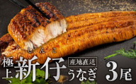 ≪先行予約！ 発送は7月28日～≫ 希少 極上 豊橋うなぎ 蒲焼 厳選 国産 新仔うなぎ 若うなぎ 鰻 簡易包装 ウナギ うなぎ 鰻 蒲焼 山義養魚 ギフト 配布 最高級 ひつまぶし 土用丑の日 ギフト 冷凍 増量 丑の日 簡単調理 豊橋うなぎ お取り寄せ 送料無料