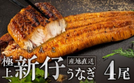 ≪先行予約！ 発送は7月28日～≫ 希少 極上 豊橋うなぎ 蒲焼 厳選 国産 新仔うなぎ 若うなぎ 鰻 簡易包装 ウナギ うなぎ 鰻 蒲焼 山義養魚 ギフト 配布 最高級 ひつまぶし 土用丑の日 ギフト 冷凍 増量 丑の日 簡単調理 豊橋うなぎ お取り寄せ 送料無料