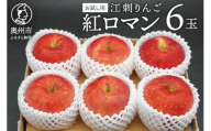 お試し用 江刺りんご「紅ロマン」6玉 フルーツ 林檎 冷蔵配送 離島配送不可 [AQ089]