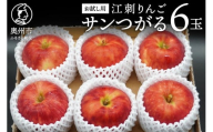 お試し用 江刺りんご「サンつがる」6玉 フルーツ 林檎 少量 冷蔵配送 離島配送不可 [AQ090]