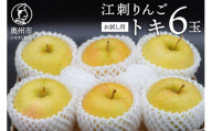 お試し用 江刺りんご「トキ」6玉 フルーツ 林檎 少量 冷蔵配送 離島配送不可 [AQ091]