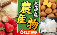 【先行予約】【全6回定期便】壱岐産農産物定期便【2025年10月下旬以降順次発送】《壱岐市》【壱岐市農業協同組合】米 コシヒカリ じゃがいも いちご 野菜セット [JBO159]