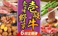 【先行予約】【全6回定期便】壱岐牛・壱岐産野菜定期便【2025年10月下旬以降順次発送】《壱岐市》【壱岐市農業協同組合】壱岐牛 すき焼き ステーキ 焼肉 ハンバーグ [JBO161]