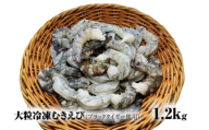 【北海道加工】 大粒冷凍むきえび　1.2kg （ブラックタイガー使用　無添加・無保水・下処理済み）