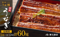 [定期便全12回]横山桂一さんのS級鰻 大5尾×12回配送 計60尾
