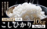 令和7年産 米 コシヒカリ 白米 10kg 鶴地区龍の里ふるさと会《8月中旬-8月末頃出荷》生産者直送 新米 早期米 天草 苓北 鶴 地区 龍 の里 蛍 国産 九州 熊本 名水 百選 5キロ 送料無料