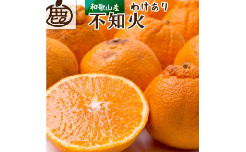 ［先行予約］家庭用 不知火7.5kg+250g（傷み補償分）［デコポンと同品種・人気の春みかん］［わけあり・訳あり］ 2187827 - 和歌山県有田川町