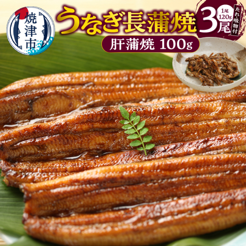 a20-445　うなぎ120ｇ長蒲焼×3、肝蒲焼100ｇ×1、たれ（山椒）、吸物セット 2187828 - 静岡県焼津市