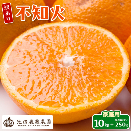 ［先行予約］家庭用 不知火10kg+250g（傷み補償分）［デコポンと同品種・人気の春みかん］［わけあり・訳あり］ 2187829 - 和歌山県有田川町