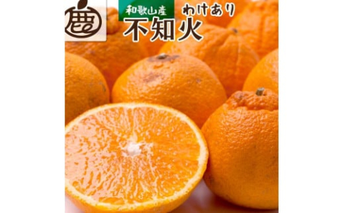 ［先行予約］家庭用 不知火10kg+250g（傷み補償分）［デコポンと同品種・人気の春みかん］［わけあり・訳あり］ 2187829 - 和歌山県有田川町