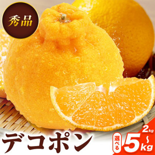 デコポン 選べる 内容量 約2kg～約5kg 日本フルーツ株式会社 熊本県 長洲町 《2026年1月下旬-2月末頃出荷予定》 デコポン 果物 秀品 2187945 - 熊本県長洲町