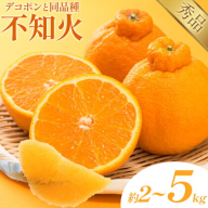 不知火（デコポン同品種） 選べる 内容量 約2kg～約5kg 日本フルーツ株式会社 熊本県 長洲町 《2026年1月下旬-2月末頃出荷予定》 デコポン 果物 秀品 フルーツ スイーツ デザート ギフト ご贈答