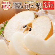 ＜期間・数量限定＞石村果樹園 旬の梨 プレミアム（3.5kg以上）宮崎県新富町産【B599-25】
