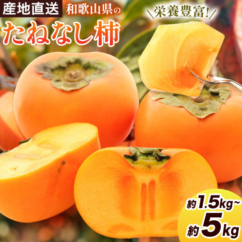 ＜10月より発送＞たねなし柿 選べる 1.5kg 2.5kg 5kg 刀根早生 平核無柿 ひらたねなしかき 池田鹿蔵農園《10月上旬-12月上旬頃出荷》 和歌山県 日高町 柿 カキ かき たねなし ジューシー フルーツ 種無柿 種無し柿 種なし柿 無核柿 2187955 - 和歌山県日高町