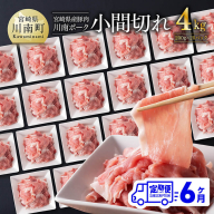 【6ヶ月定期便】川南ポーク豚小間切れ4kg(200g×20パック) 【 宮崎県産 川南町産 豚肉 肉 切り落とし 小分け 定期便 送料無料 】