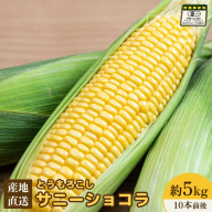 【先行予約】上原農場直送 有機栽培とうもろこし (サニーショコラ) 約5kg 約10本前後【66019】