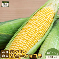 【先行予約】上原農場直送 有機栽培とうもろこし (サニーショコラ) 約10kg 約20本前後【66020】