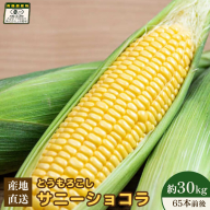 【先行予約】上原農場直送 有機栽培とうもろこし (サニーショコラ) 約30kg 約65本前後【66021】