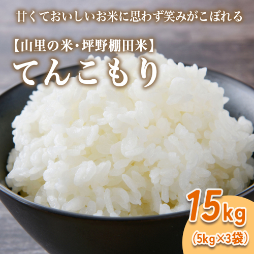 山の湧き水 寒暖差 山里 山里の米・坪野棚田米 R7年産 てんこもり15kg（5kg×3） ※北海道・沖縄・離島への配送不可　※2025年10月中旬～2026年9月中旬頃に順次発送予定 2188040 - 富山県魚津市